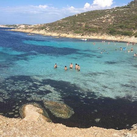 Exceptionnelle Vue Mer Calvi - Piscine - T2 Ngoại thất bức ảnh