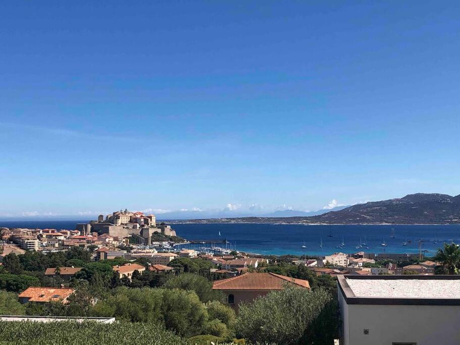 Exceptionnelle Vue Mer Calvi - Piscine - T2 Ngoại thất bức ảnh
