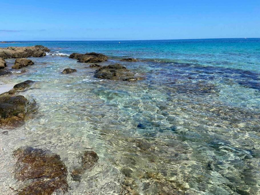 Exceptionnelle Vue Mer Calvi - Piscine - T2 Ngoại thất bức ảnh