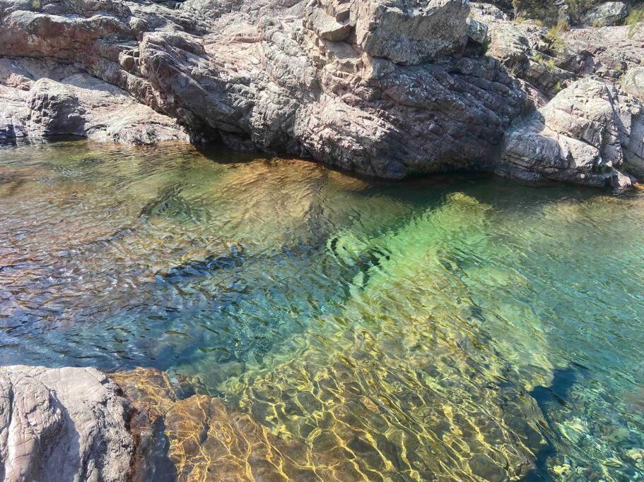 Exceptionnelle Vue Mer Calvi - Piscine - T2 Ngoại thất bức ảnh