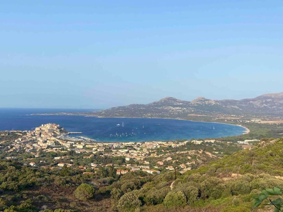 Exceptionnelle Vue Mer Calvi - Piscine - T2 Ngoại thất bức ảnh