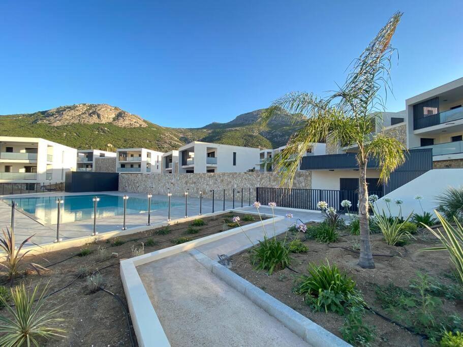 Exceptionnelle Vue Mer Calvi - Piscine - T2 Ngoại thất bức ảnh