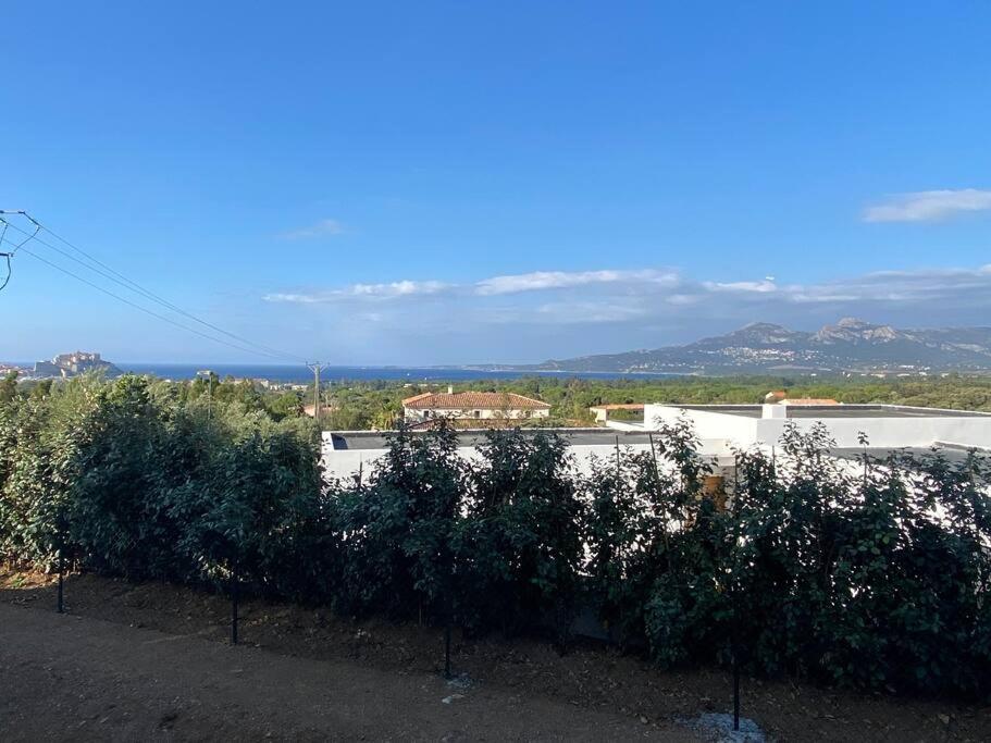 Exceptionnelle Vue Mer Calvi - Piscine - T2 Ngoại thất bức ảnh