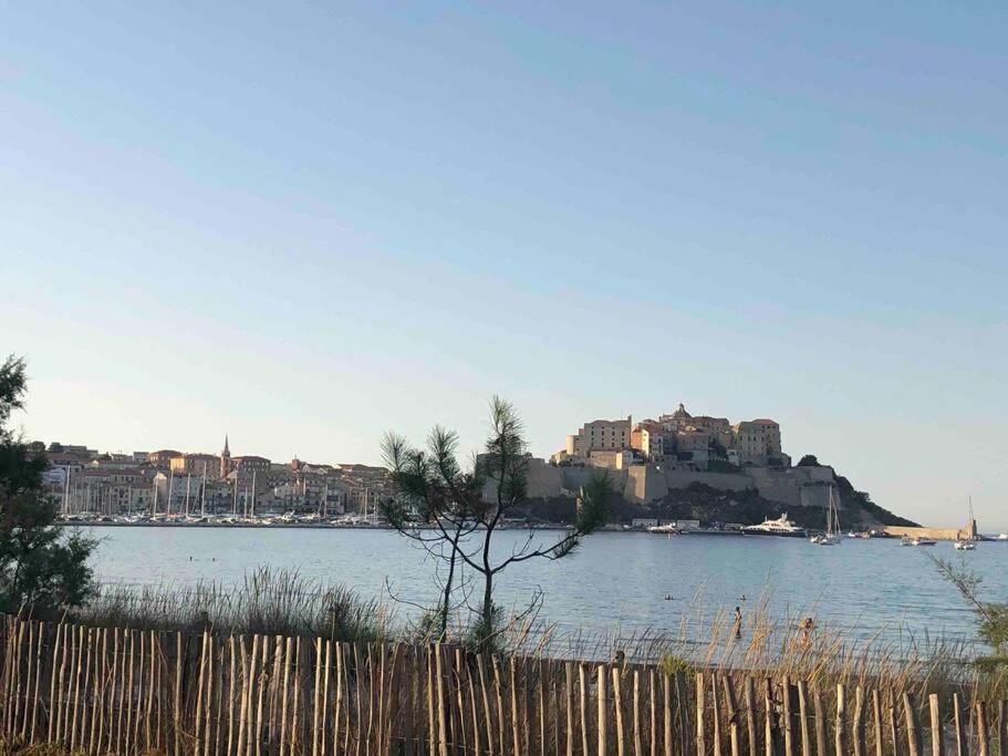Exceptionnelle Vue Mer Calvi - Piscine - T2 Ngoại thất bức ảnh